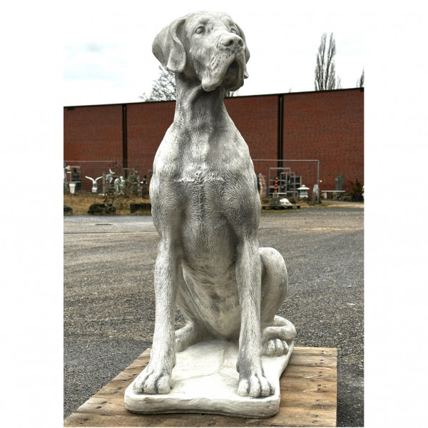Dogge 104 H