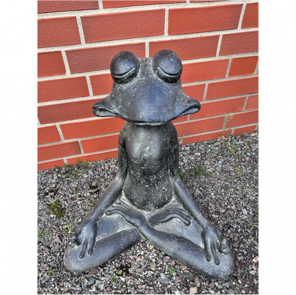 Frosch Meditation