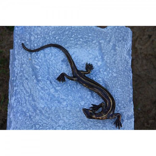 Salamander