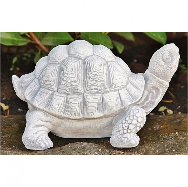 Schildkröte