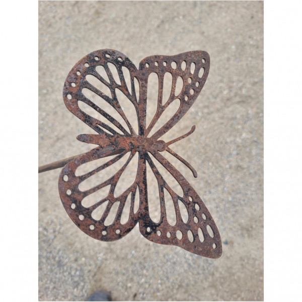 Schmetterling