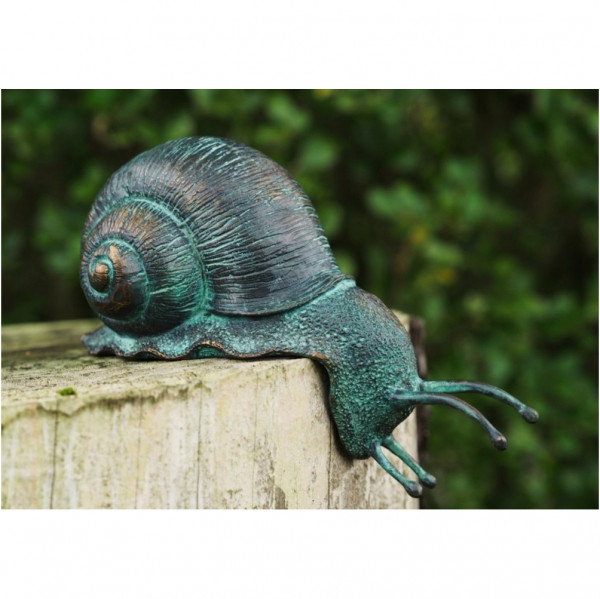 Kantenhocker Schnecke