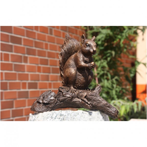 Eichhörnchen