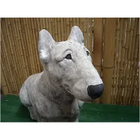 Bull Terrier