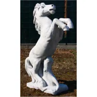 Pferd steigend gross