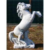 Pferd steigend gross