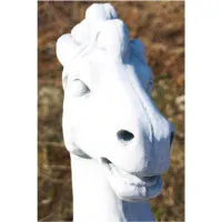 Pferd steigend gross