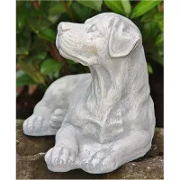 Hundewelpe