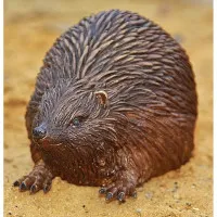 Tierfigur Igel