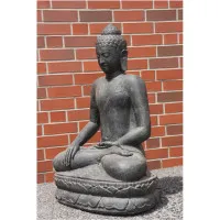 Buddha 100 H