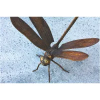 Bronze Libelle