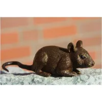 Bronze Maus