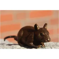 Bronze Maus
