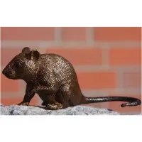 Bronze Maus