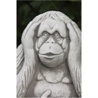 Affe "nichts hören"