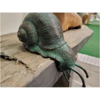 Kantenhocker Schnecke