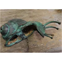 Kantenhocker Schnecke