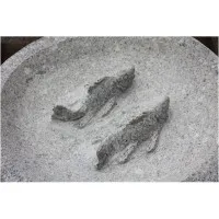 Tränke Fische Granit