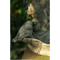 Tränke Flügelflatter