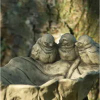 Tränke Flügelflatter