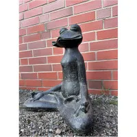 Frosch Meditation