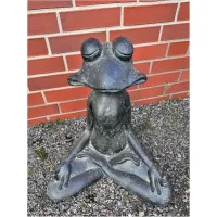 Frosch Meditation