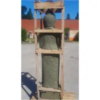 Buddha 150 H