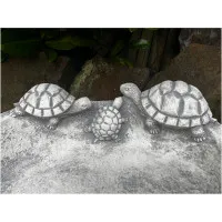 Tränke Schildkröten