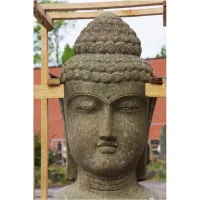 Buddha Büste