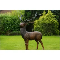 Hirsch lebensgroß