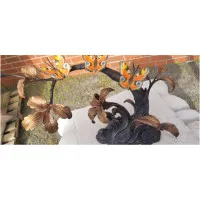 Schmetterlinge auf Ast