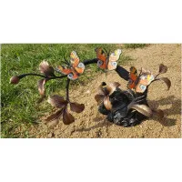 Schmetterlinge auf Ast