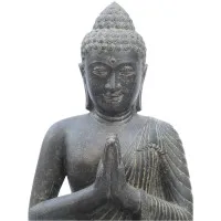 Buddha 100 H