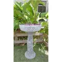 Vogeltränke Pattaya