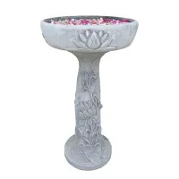 Vogeltränke Pattaya