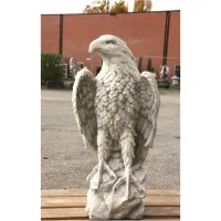 Majestätischer Adler