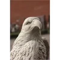 Majestätischer Adler