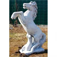 Pferd steigend mittel