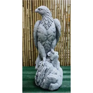 Adler