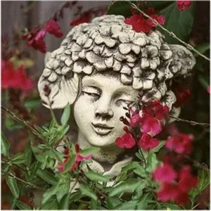 Hortensie*