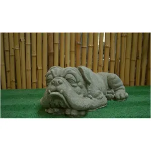 Bulldogge