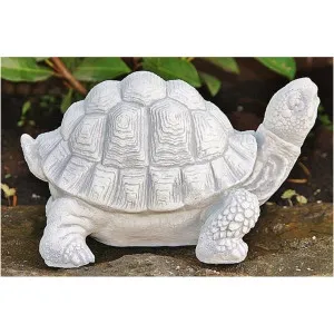 Schildkröte