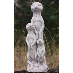 Erdmännchen