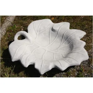 Vogeltränke Blatt