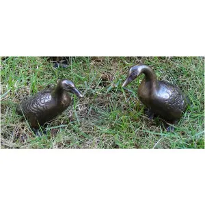 Enten Paar