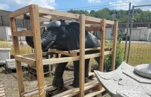Elefant gross