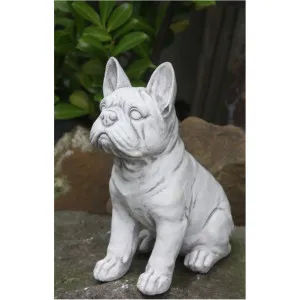 Bulldogge