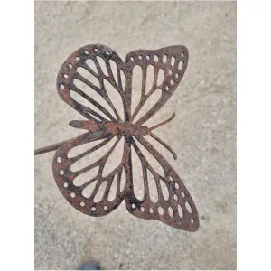 Schmetterling
