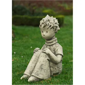 Der kleine Prinz