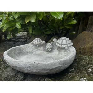 Tränke Schildkröten